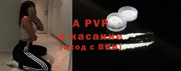 сатива Сафоново