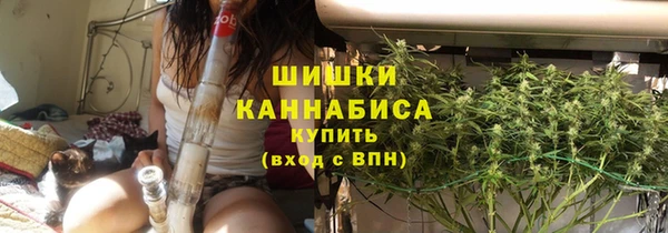 тгк Сатка