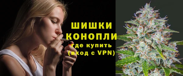 тгк Сатка