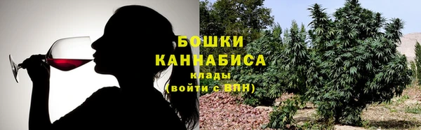 сатива Сафоново