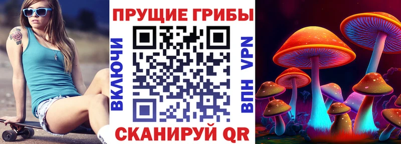 Галлюциногенные грибы мицелий  цены   Холм 