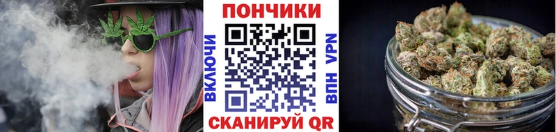 как найти наркотики  Холм  Каннабис индика 